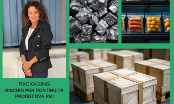 PACKAGING. CONFAPI, RISCHIO PER CONTINUITÀ PRODUTTIVA PMI