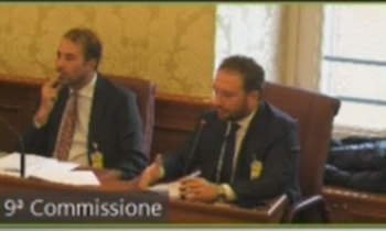 CONFAPI IN SENATO SU MONITORAGGIO "RESTO AL SUD"