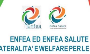 BILATERALITA’ E WELFARE NELLE PMI: ENFEA E ENFEA SALUTE