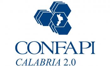Antifragilita' delle Pmi Confapi Calabria: uno studio per fotografare un fenomeno.