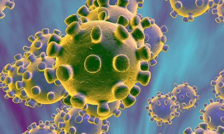 CORONAVIRUS: LE NUOVE DISPOSIZIONI DEL GOVERNO