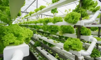 DA CONFAPI DIH E AGRI ISLAND INNOVATIVO ALGORITMO PER ACQUAPOINICA