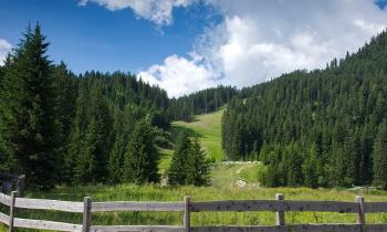 CONFAPI TURISMO: SUBITO UN PIANO ORSI PER STAGIONE ESTIVA IN TRENTINO