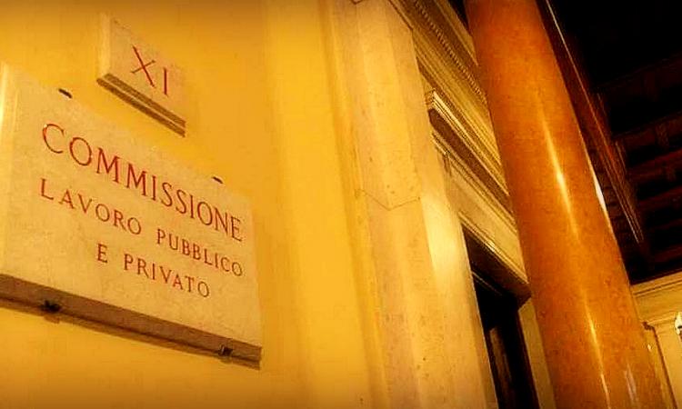 AUDIZIONE ALLA CAMERA IN COMMISSIONE LAVORO