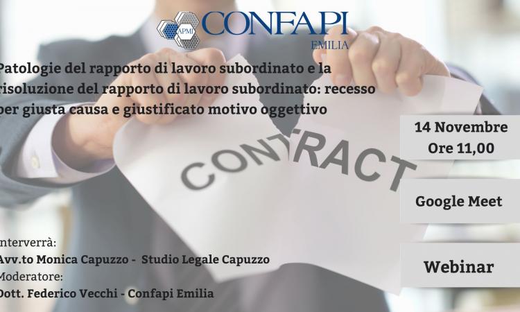 Webinar "PATOLOGIE DEL RAPPORTO DI LAVORO SUBORDINATO E LA RISOLUZIONE DEL RAPPORTO DI LAVORO SUBORDINATO" - Martedì 14/11/2023 ore 11,00